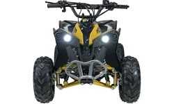 RENEGADE HighPer 110CC degimo keturratis geltonos spalvos