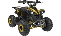 RENEGADE HighPer 110CC degimo keturratis geltonos spalvos
