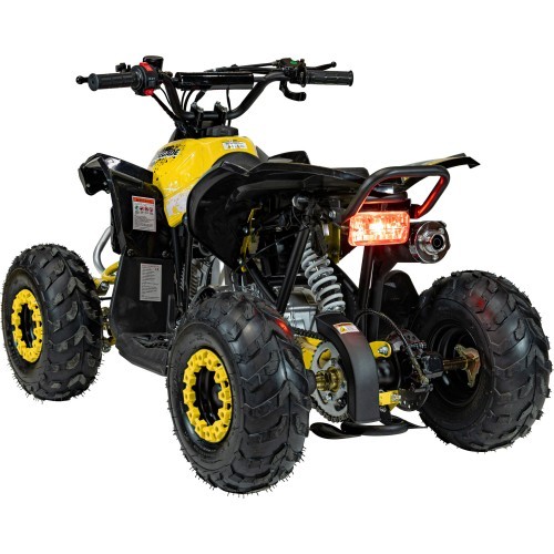 Квадроцикл RENEGADE HighPer 110CC желтый