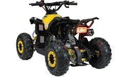 RENEGADE HighPer 110CC degimo keturratis geltonos spalvos