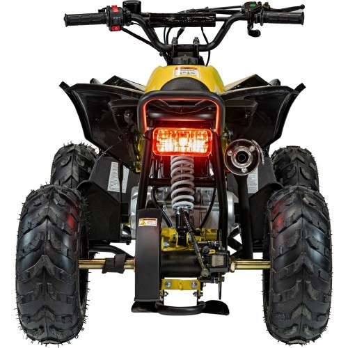 RENEGADE HighPer 110CC degimo keturratis geltonos spalvos