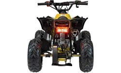 RENEGADE HighPer 110CC degimo keturratis geltonos spalvos