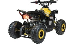 RENEGADE HighPer 110CC degimo keturratis geltonos spalvos