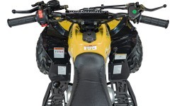 RENEGADE HighPer 110CC degimo keturratis geltonos spalvos