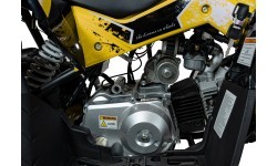 Квадроцикл RENEGADE HighPer 110CC желтый