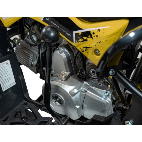 RENEGADE HighPer 110CC degimo keturratis geltonos spalvos