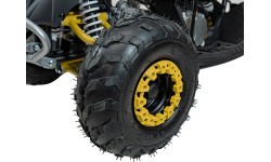 RENEGADE HighPer 110CC degimo keturratis geltonos spalvos