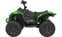 Keturratis Maverick ATV, žalias
