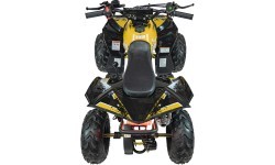 RENEGADE 110CC Gas Powered Vehicles Yellow