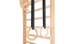Gymnastic Rings for Wall Bars