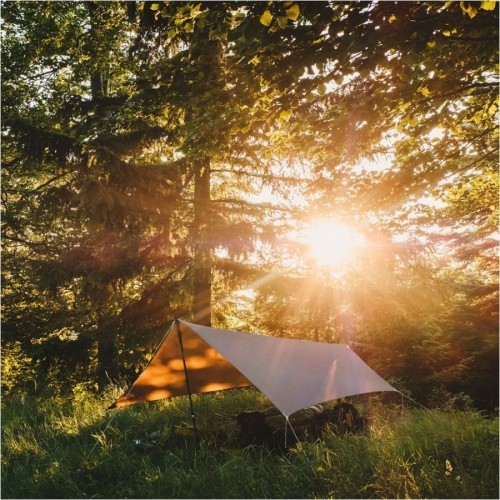 Tarp Lesovik ZMORA walnut brown