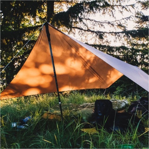 Tarp Lesovik ZMORA walnut brown