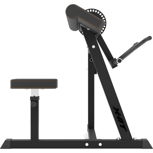 Bicep & Tricep Curl Bench inSPORTline X-NT BT20