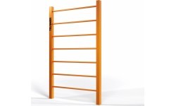 Street Workout LadderSW01A