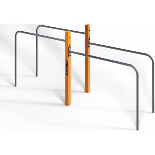 Street Workout Double Hand Rails to PoleSW03B