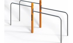 Street Workout Double Hand Rails to PoleSW03B