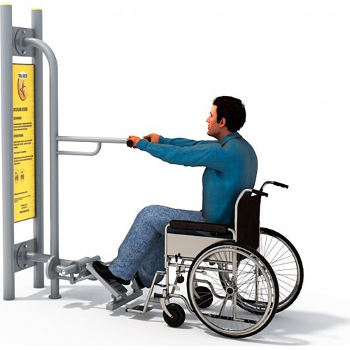 Steper DisabledE21