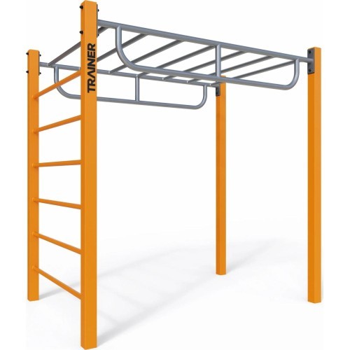 Calisthenics Park Equipment 01SWN01