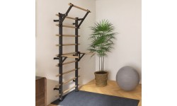 Parallel Bars for inSPORTline Wootaline & Wootalux Wall Bars