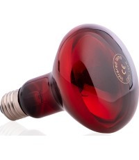 Infrared Light Bulb inSPORTline 150W/230V E27 R95