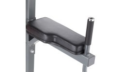 Multi-Purpose Pull-Up Station inSPORTline Power Tower PT300