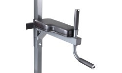 Многоцелевая станция для подтягиваний inSPORTline Power Tower PT300