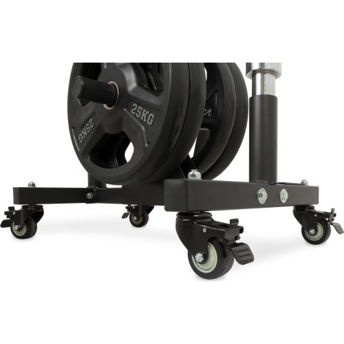 "Pivot Fitness M395" mobiliosios plokštės medis
