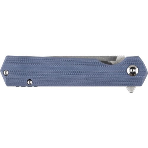Ganzo Firebird FH11S-GY folding knife