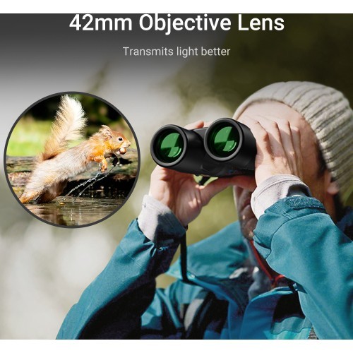 10x42 AutoFocus Binoculars Apexel