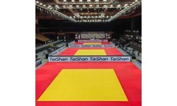 Judo Mat Taishan 200 x 100 x 5 cm Yellow
