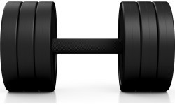 Guma dengtas hantelis Marbo – 20 kg, juodas
