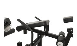 Newton Fitness Black Series BLK-60 Multi Functional Leg Extension