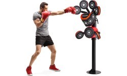 Boxing Trainer inSPORTline Boxheist Fix