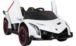 Vehicle Lamborghini Veneno White