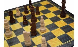 Chess Philos Standart 29.5x29.5cm