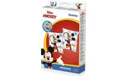 Mickey & Friends rankogaliai plaukimui 23x15 cm