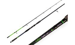 ZFISH Rod Catfish Fighter 2,85/ 100-300g
