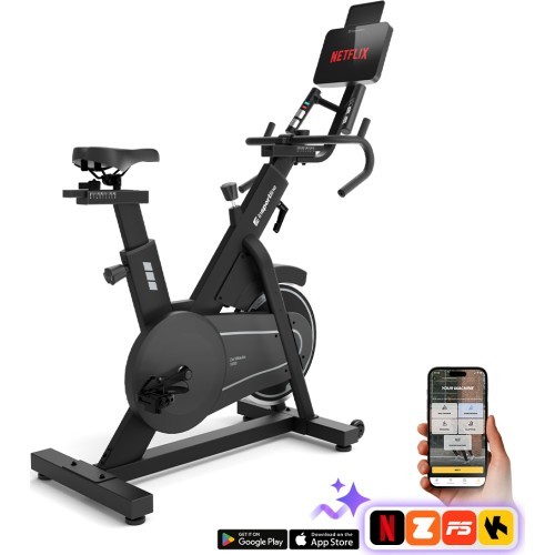 Exercise Bike inSPORTline ZenRoute 300