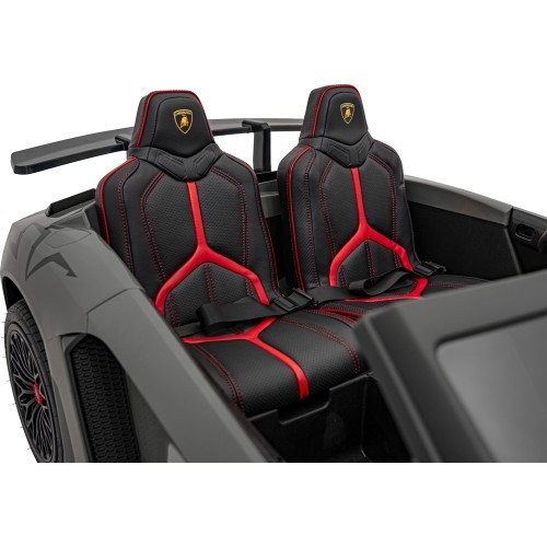 Lamborghini Aventador SV STRONG vehicle Grey