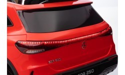 Vehicle Mercedes Benz EQA 250 Red