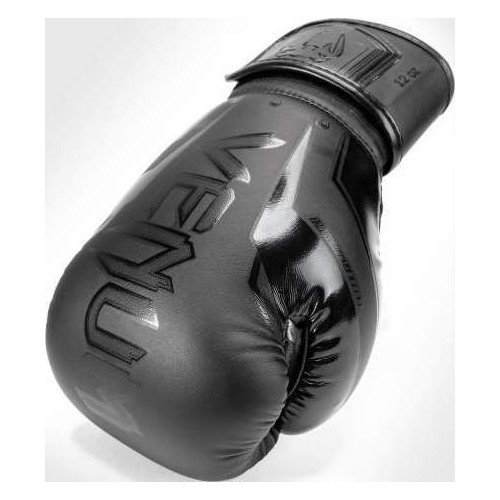 Boxing Gloves Elite Evo Venum - Black/Black