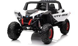 Buggy UTV-MX 2000N White