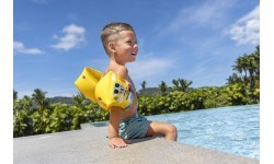 Нарукавники для плавания Bestway SUMMER SURF, жёлтые, 23x15 см