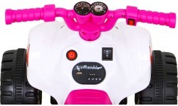 Vehicle Quad THE FASTEST Pink