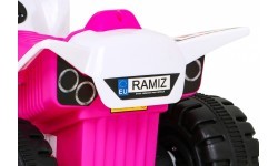 Vehicle Quad THE FASTEST Pink