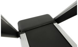 Newton Fitness TM4500 Treadmill