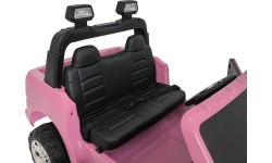 RAM 3500 Pink Vehicle