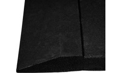Heavy-Duty Floor Mat inSPORTline Proteko Plus 100 x 100 x 4 cm