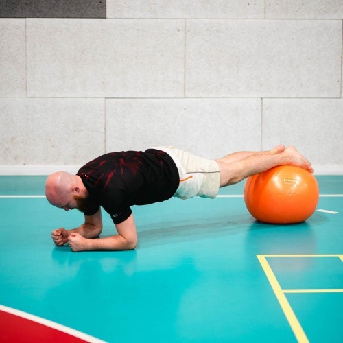 YB02 NEW 55CM ORANGE GYM BALL HMS
