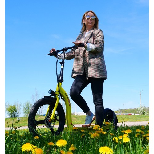 Beaster Scooter VOYAGER electric scooter, 350 W, 36 V, 10 Ah, dark grey